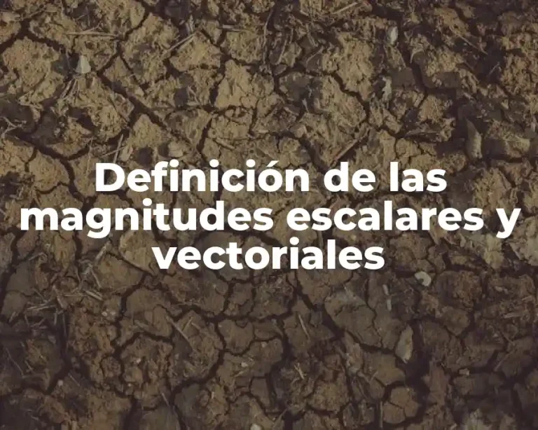 Definición de las magnitudes escalares y vectoriales