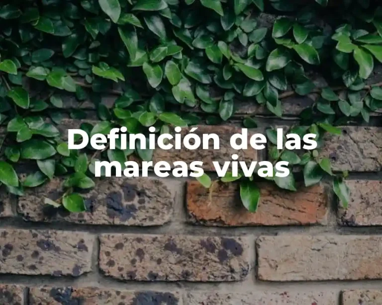 Definición de las mareas vivas