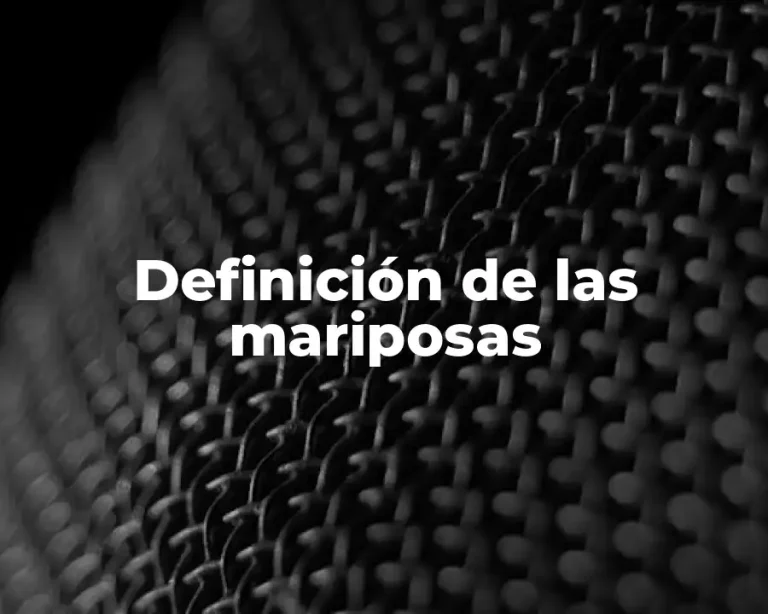 Definición de las mariposas