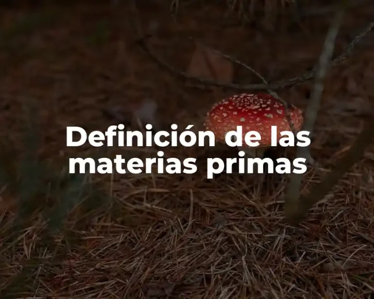 Definición de las materias primas