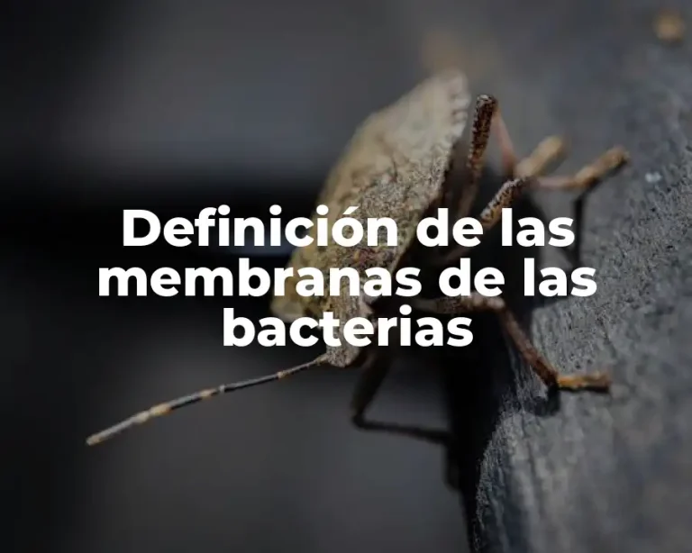 Definición de las membranas de las bacterias