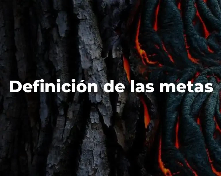 Definición de las metas