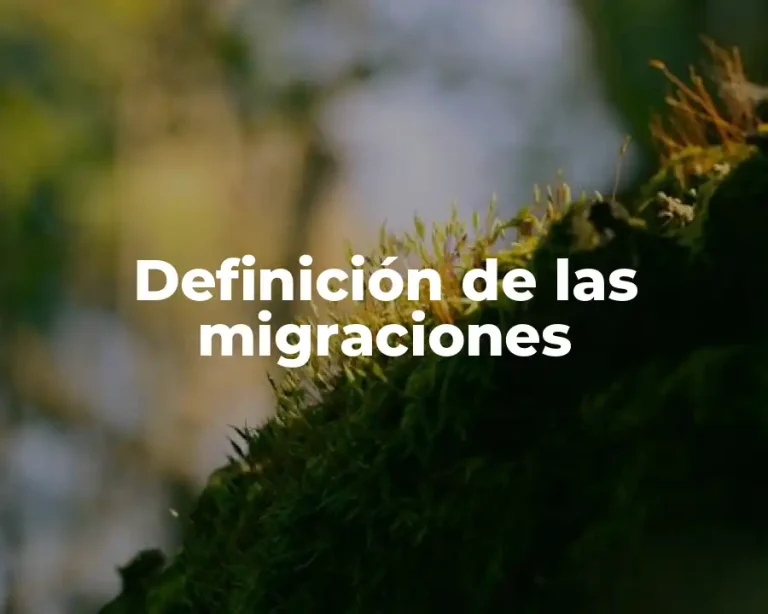 Definición de las migraciones
