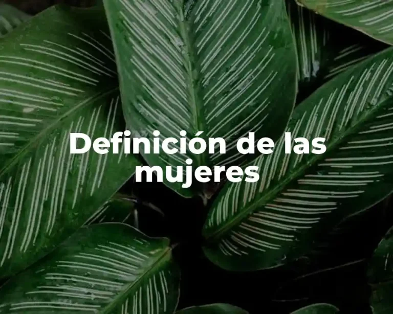 Definición de las mujeres