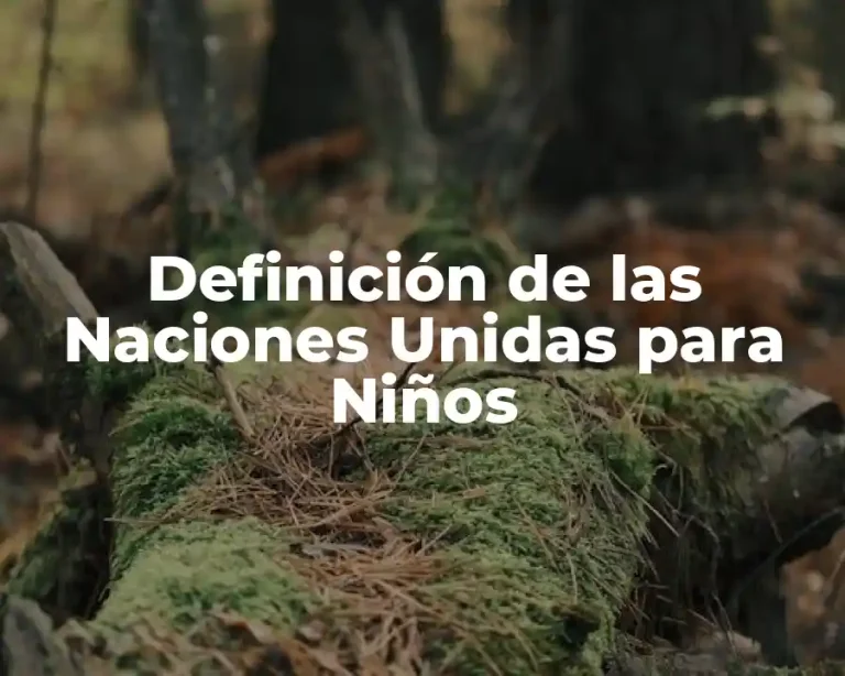 Definición de las Naciones Unidas para Niños