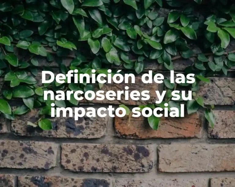 Definición de las narcoseries y su impacto social