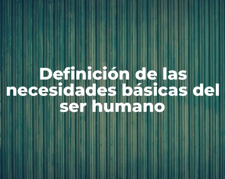 Definición de las necesidades básicas del ser humano