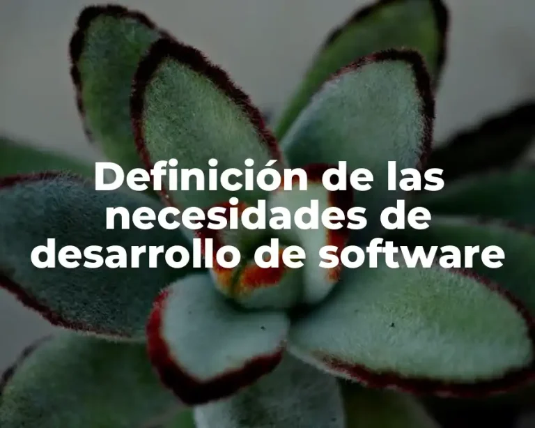 Definición de las necesidades de desarrollo de software