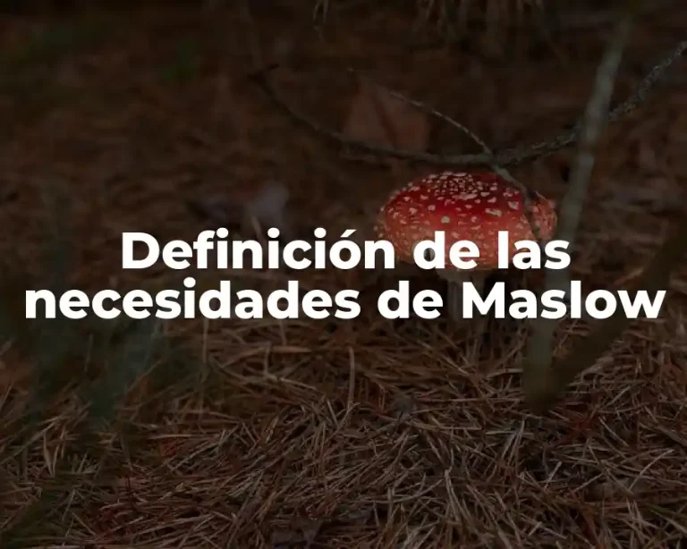 Definición de las necesidades de Maslow