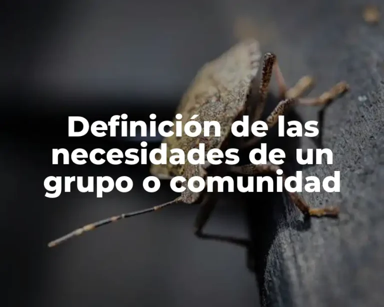 Definición de las necesidades de un grupo o comunidad