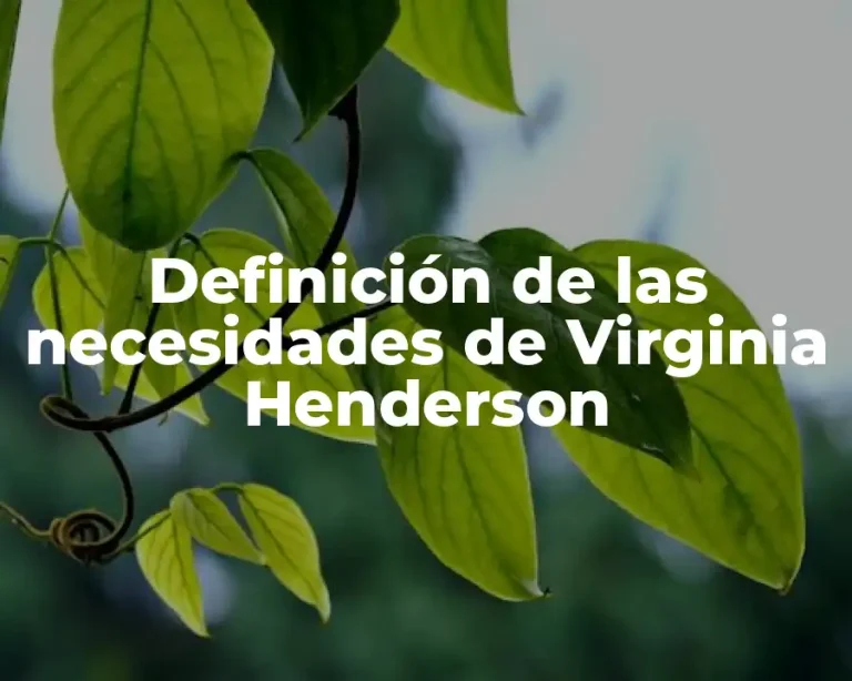 Definición de las necesidades de Virginia Henderson
