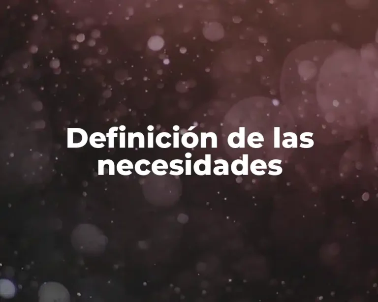 Definición de las necesidades