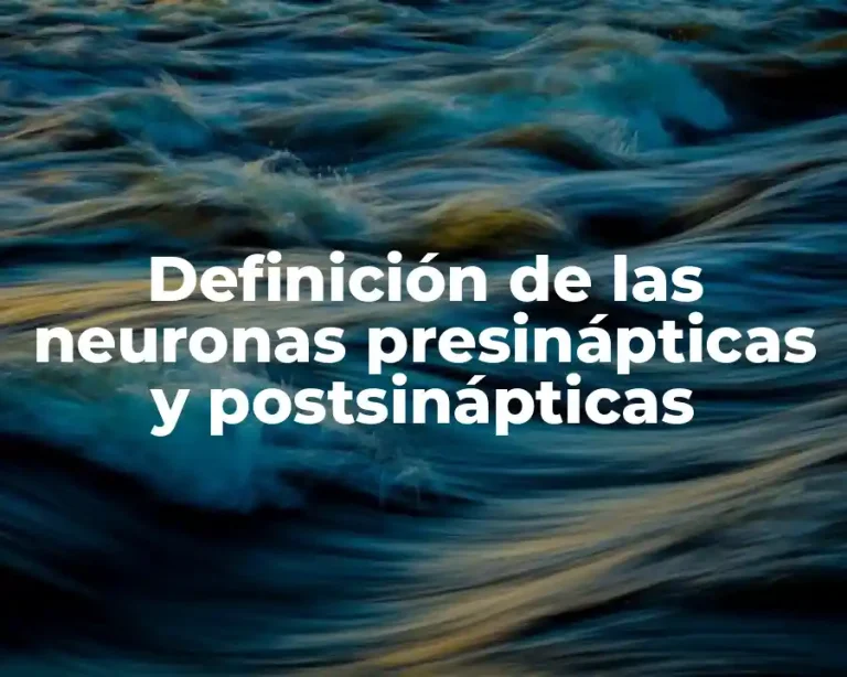 Definición de las neuronas presinápticas y postsinápticas