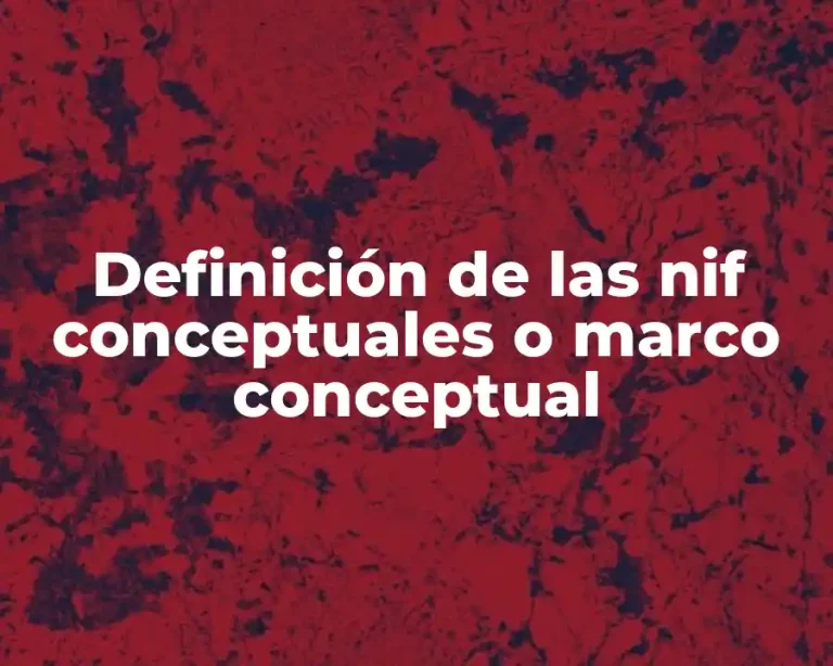 Definición de las nif conceptuales o marco conceptual