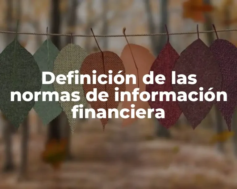Definición de las normas de información financiera