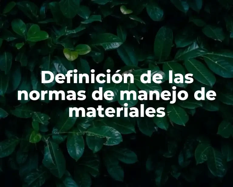Definición de las normas de manejo de materiales