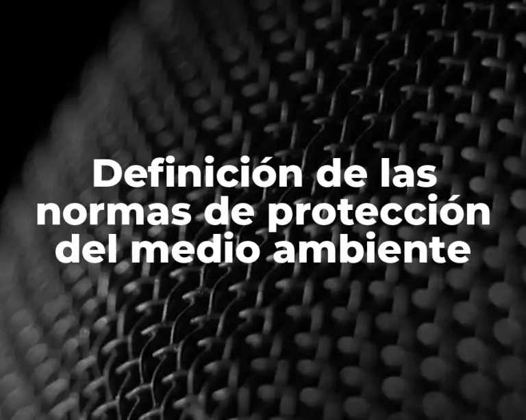 Definición de las normas de protección del medio ambiente