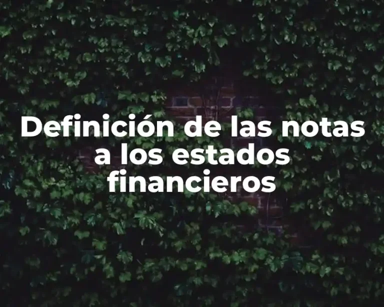 Definición de las notas a los estados financieros