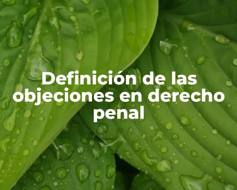 Definición de las objeciones en derecho penal