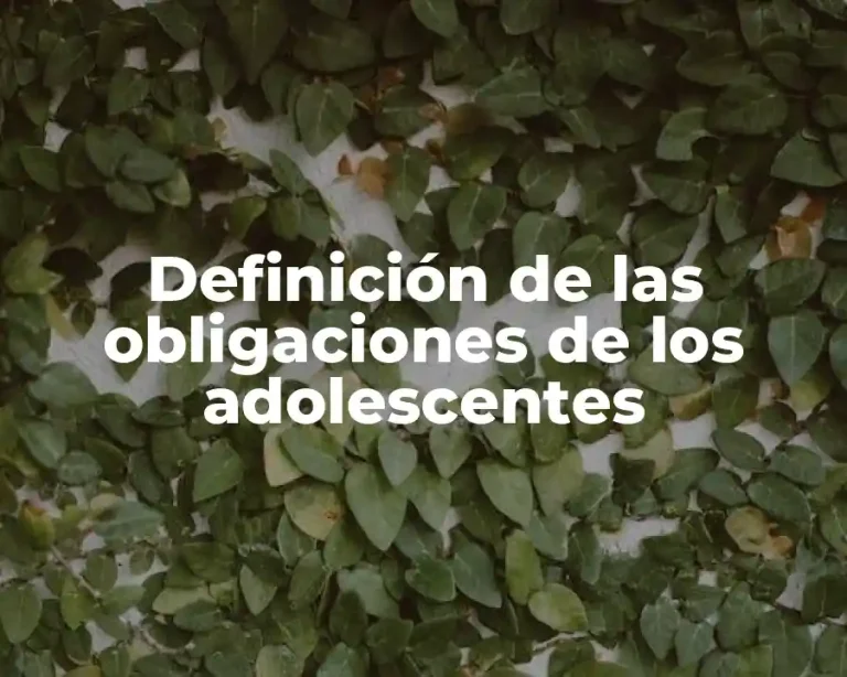 Definición de las obligaciones de los adolescentes