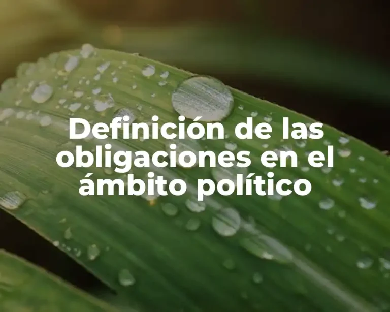 Definición de las obligaciones en el ámbito político