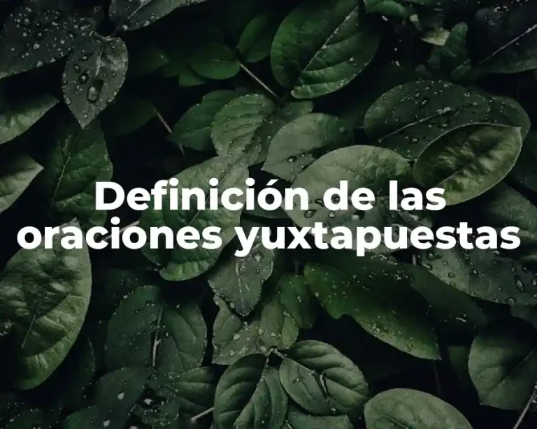 Definición de las oraciones yuxtapuestas