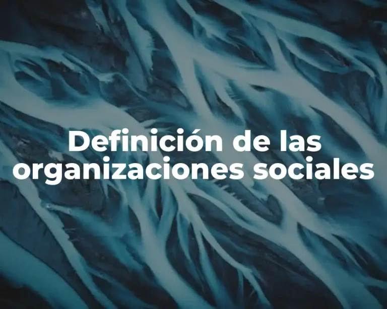 Definición de las organizaciones sociales