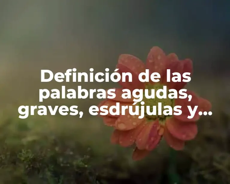 Definición de las palabras agudas, graves, esdrújulas y sobreesdrújulas