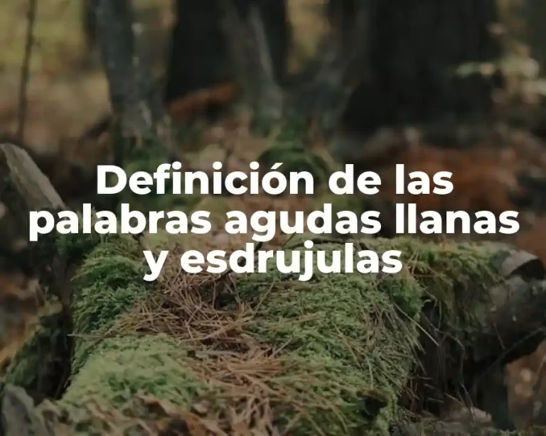 Definición de las palabras agudas llanas y esdrujulas