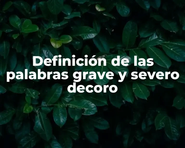 Definición de las palabras grave y severo decoro
