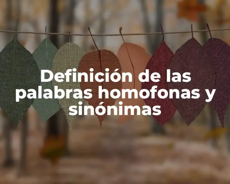 Definición de las palabras homofonas y sinónimas