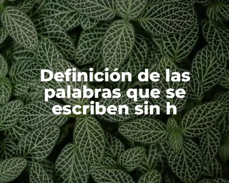 Definición de las palabras que se escriben sin h