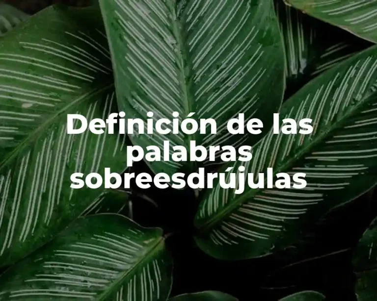 Definición de las palabras sobreesdrújulas
