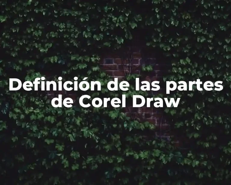 Definición de las partes de Corel Draw