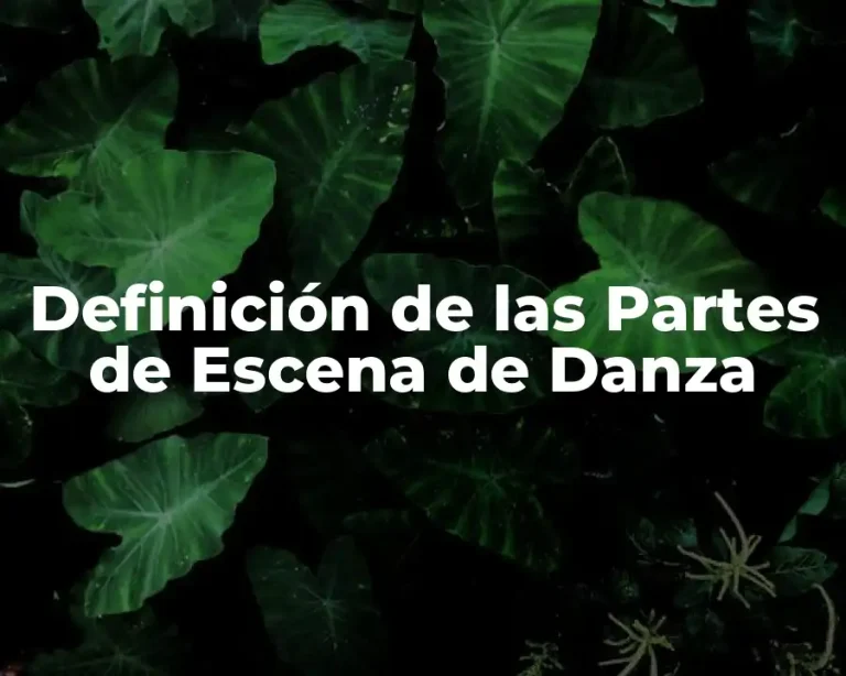 Definición de las Partes de Escena de Danza