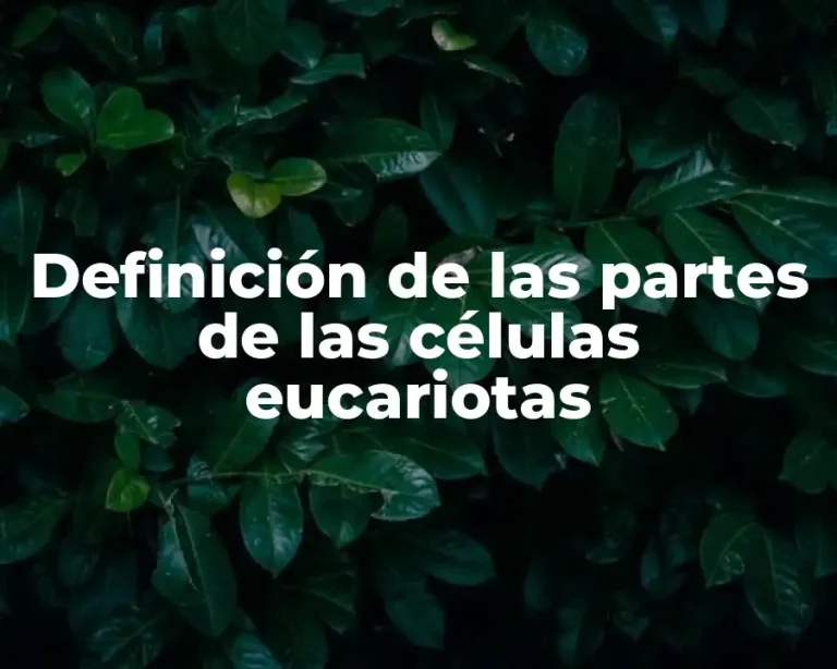 Definición de las partes de las células eucariotas