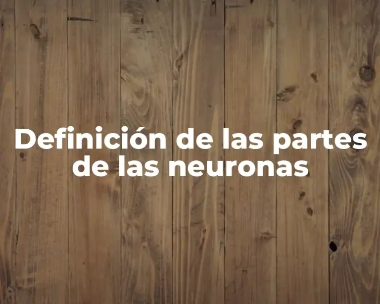 Definición de las partes de las neuronas