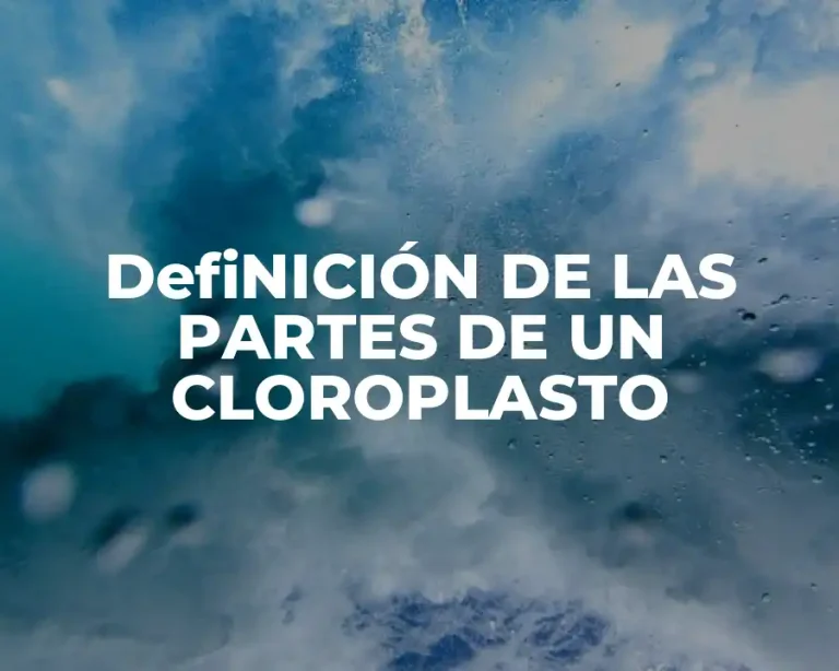 DefiNICIÓN DE LAS PARTES DE UN CLOROPLASTO