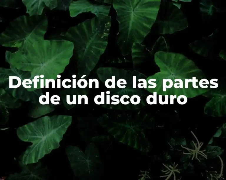 Definición de las partes de un disco duro