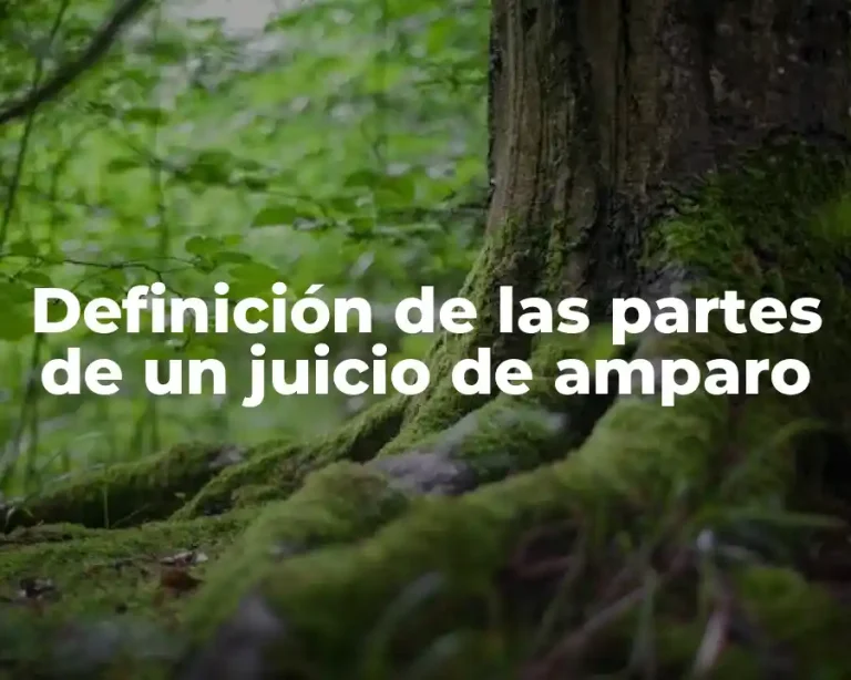 Definición de las partes de un juicio de amparo