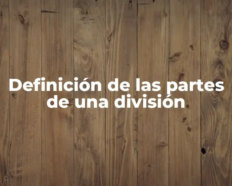 Definición de las partes de una división