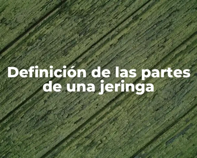Definición de las partes de una jeringa