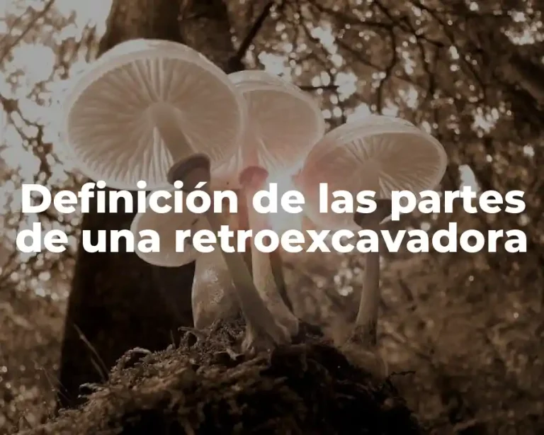 Definición de las partes de una retroexcavadora