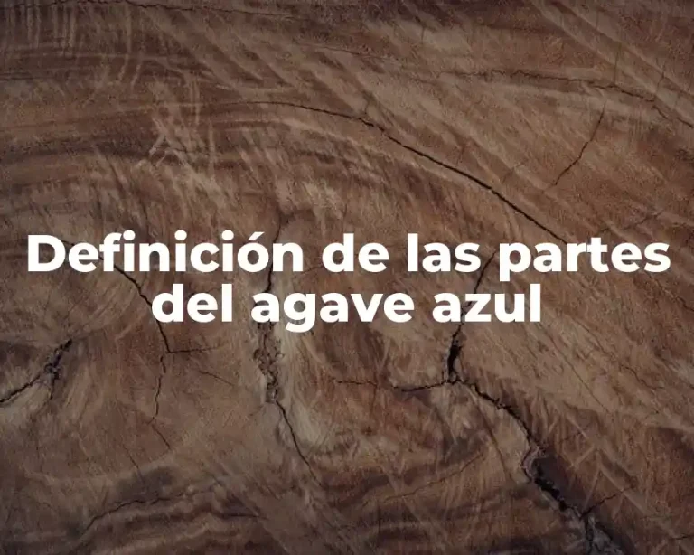 Definición de las partes del agave azul