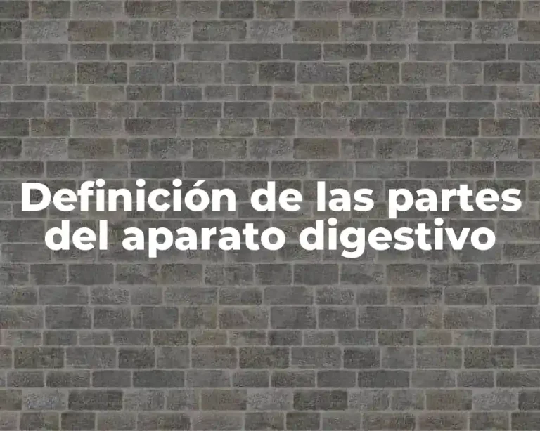 Definición de las partes del aparato digestivo