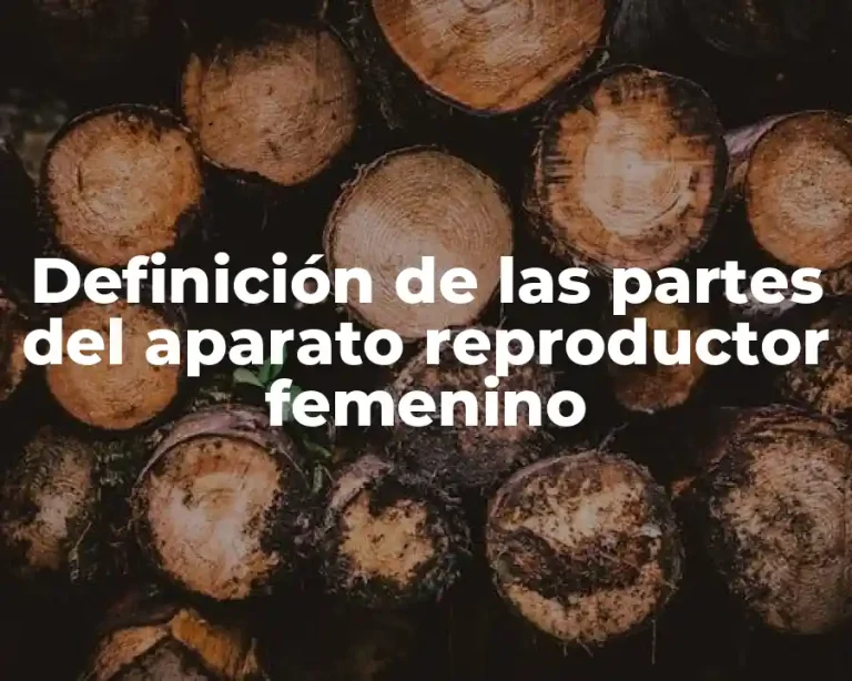 Definición de las partes del aparato reproductor femenino