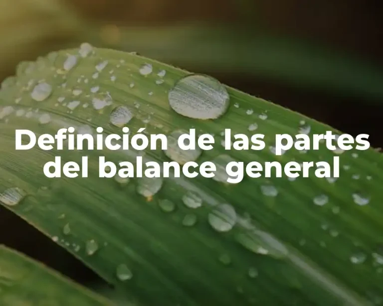 Definición de las partes del balance general