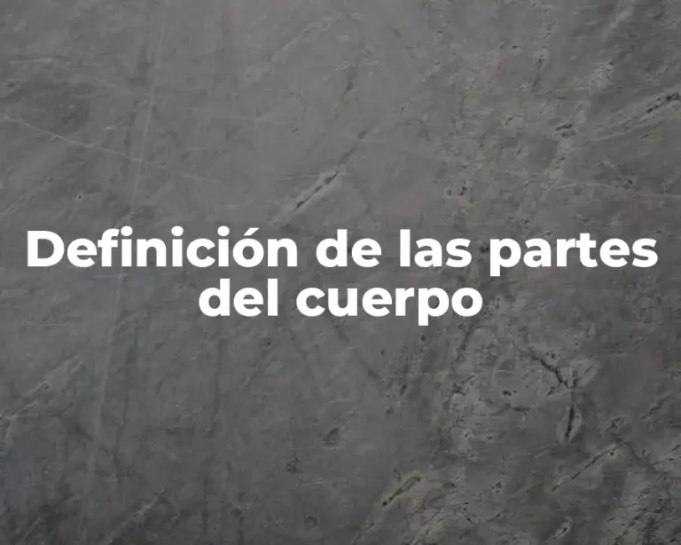 Definición de las partes del cuerpo
