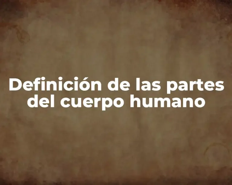 Definición de las partes del cuerpo humano