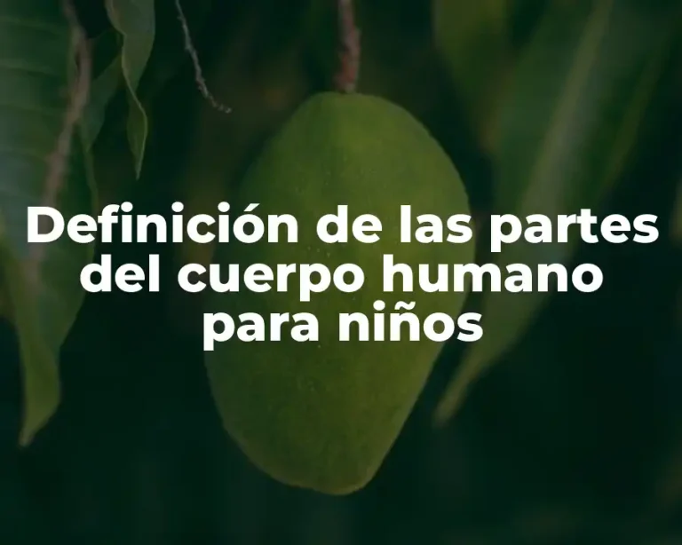 Definición de las partes del cuerpo humano para niños